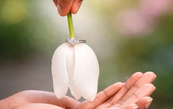 Chiếc nhẫn trong ký ức