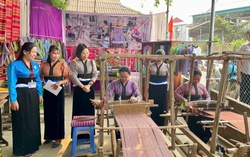 Phụ nữ Sơn La sôi nổi thi đua chào mừng Đại hội Phụ nữ toàn quốc XIV