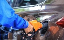 Phạt 390 triệu đồng với 3 thương nhân đầu mối vi phạm quy định dự trữ xăng dầu