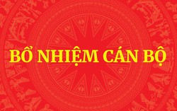 Thủ tướng Chính phủ phê chuẩn kết quả bầu Chủ tịch, Phó Chủ tịch UBND cấp tỉnh nhiệm kỳ 2026-2031