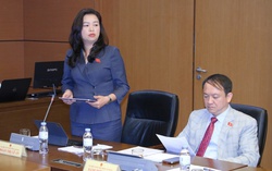 Hoàn thiện cơ chế thu hút nguồn lực đầu tư phát triển văn hóa