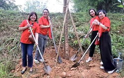 Dự án "Hoa Gạo thắp sáng Đền Hùng" kết nối 54 dân tộc