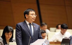 Ngăn chặn thực phẩm "bẩn" bủa vây: Xử lý sai phạm không có vùng cấm, ngoại lệ