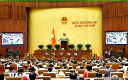 Hôm nay, Quốc hội tiếp tục bàn phát triển văn hoá, xử lý vi phạm pháp luật về đất đai