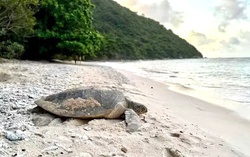 Ngày Trái đất 22/4: “Sức mạnh của chúng ta, hành tinh của chúng ta”