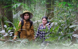 Những phụ nữ giữ rừng và cuộc chiến chống định kiến giới