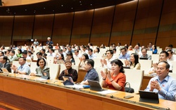 Trẻ em, nạn nhân bạo lực gia đình được tăng trợ giúp pháp lý từ năm 2027