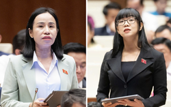 Ngưỡng chịu thuế với hộ kinh doanh: Cần khung linh hoạt nhưng có "lan can" rõ ràng