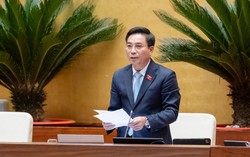 Bộ Ngoại giao chủ trì xây dựng Đề án về tổ chức bộ máy, chỉ tiêu biên chế của cơ quan đại diện