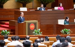 Chủ tịch UBND cấp xã có thẩm quyền ký giấy tờ hộ tịch