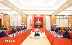 Tổng Bí thư, Chủ tịch nước Tô Lâm điện đàm với Thủ tướng Australia