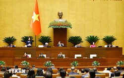 Thí điểm chế định luật sư công tại 8 bộ và 10 địa phương từ ngày 1/10/2026