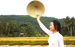 Mùa vàng trên non