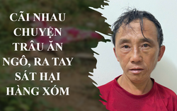 Cãi nhau chuyện trâu ăn ngô, ra tay sát hại hàng xóm