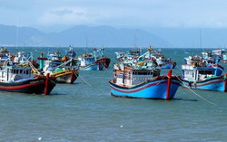 Thủ tướng Chính phủ yêu cầu khắc phục triệt để các tồn tại trong chống khai thác IUU