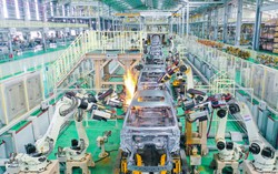 Cải cách thủ tục hành chính, cởi trói cho doanh nghiệp