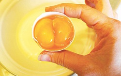 Quả trứng hai lòng đỏ