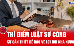 Thí điểm luật sư công: Sự cần thiết để bảo vệ lợi ích Nhà nước