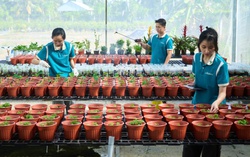 Cây giống ViGen ghi dấu ấn đậm nét trên hành trình hiện đại hóa nông nghiệp Việt