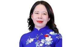 Infographic: Tiểu sử tóm tắt của Phó Chủ tịch nước Võ Thị Ánh Xuân