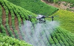 Trao "đôi cánh" công nghệ cho phụ nữ vùng cao Điện Biên