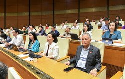 Quốc hội phê chuẩn bổ nhiệm Thẩm phán Tòa án nhân dân tối cao khóa XVI