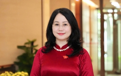 Bà Lâm Thị Phương Thanh giữ chức Bộ trưởng Bộ Văn hóa, Thể thao và Du lịch