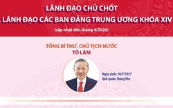 Infographic: Lãnh đạo chủ chốt và lãnh đạo các Ban Đảng Trung ương khóa XIV