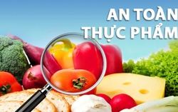 Tiếp tục áp dụng Nghị định 15/2018/NĐ-CP về an toàn thực phẩm cho đến khi có quy định mới