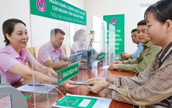 Vốn tín dụng chính sách tạo việc làm cho hơn 281,7 nghìn lao động