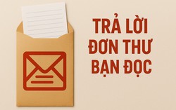 Tây Ninh: Làm rõ vụ cháu ruột bị tố hành hung, nhục mạ cô ruột do mâu thuẫn đất đai