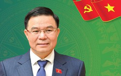 Tiểu sử Bộ trưởng Bộ Công Thương Lê Mạnh Hùng