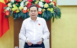 Chủ tịch Quốc hội chủ trì Phiên họp về tổng rà soát văn bản quy phạm pháp luật