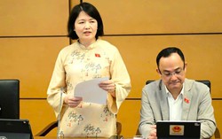 Đại biểu Quốc hội trăn trở với những tồn tại trong công tác chăm sóc, bảo vệ trẻ em