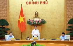 Thủ tướng chủ trì họp Thường trực Chính phủ và Thường trực Đảng ủy Chính phủ