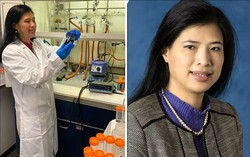 Công trình về chẩn đoán, điều trị ung thư của nữ Giáo sư gốc Việt góp mặt tại triển lãm khoa học danh giá của Anh