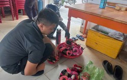 Đồ Sơn: Xử lý nghiêm trường hợp bán cua "cõng" trên mình cả kg dây buộc