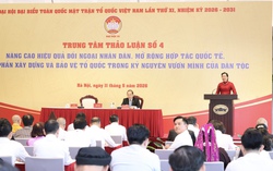 Nâng tầm đối ngoại nhân dân thành trụ cột ngoại giao toàn diện, hiện đại