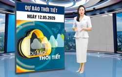 Bản tin thời tiết ngày 12/5: Không khí lạnh suy yếu, Bắc bộ còn mưa dông về đêm