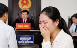 Vụ tranh chấp quyền nuôi con: Người mẹ bật khóc khi tòa bác đơn