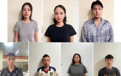 Khởi tố, bắt tạm giam ca sĩ Miu Lê