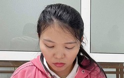 Bắt nữ môi giới lừa "chạy sổ đỏ", chiếm đoạt hàng tỷ đồng