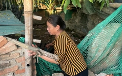Kết thúc hoạt động và giải thể Quỹ Hỗ trợ Phụ nữ nghèo