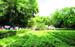 Tháng 5 về thăm quê Bác