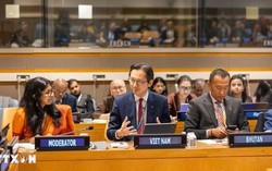 Việt Nam dự tọa đàm kỷ niệm Ngày Phật đản Vesak Liên hợp quốc