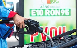 Gỡ rào cản cho xăng E10: Cần cú hích đủ mạnh từ chính sách giá