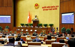 Quy định xử lý kỷ luật với người vi phạm pháp luật tố cáo là cán bộ, công chức