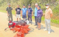 Bắt giữ gần 60kg vảy tê tê Java trên tuyến biên giới Cao Bằng