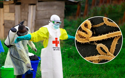 4 điểm bất thường khó kiểm soát dịch Ebola