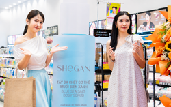Nghệ sĩ Việt bước vào cuộc đua bán hàng để duy trì sức hút 